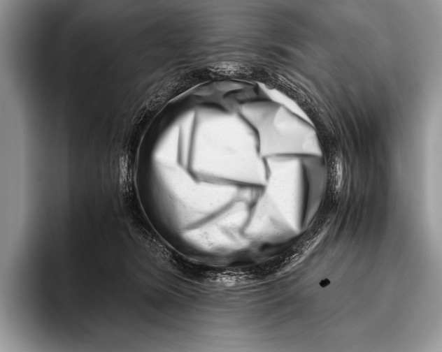 X0000096200420200802081544