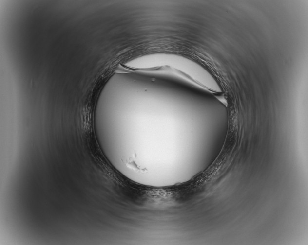 X0000096200421200802081544