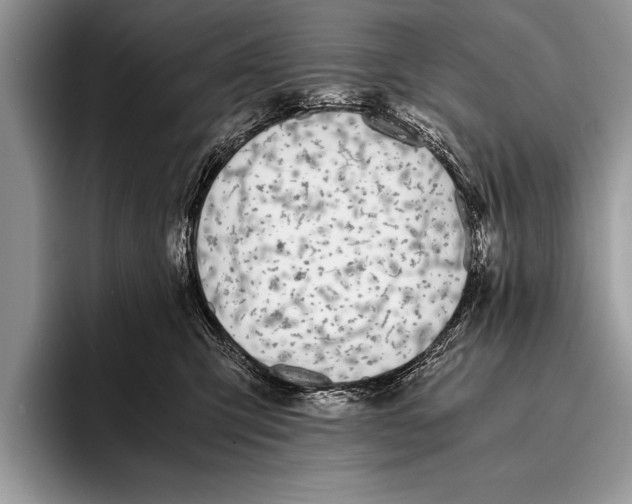 X0000096200423200802081544