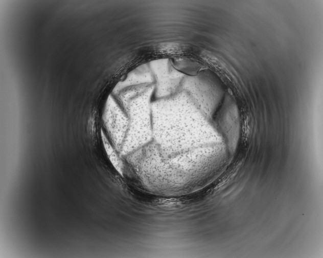 X0000096200424200802081544