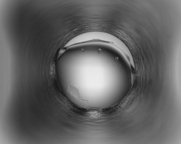 X0000096200425200802081544