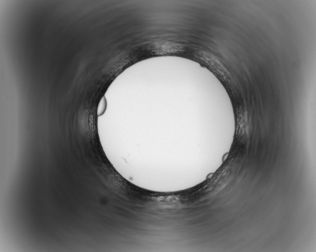 X0000096200426200802081544