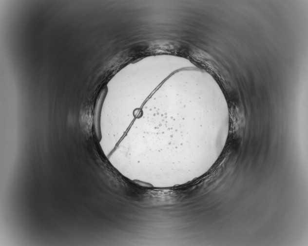 X0000096200427200802081544