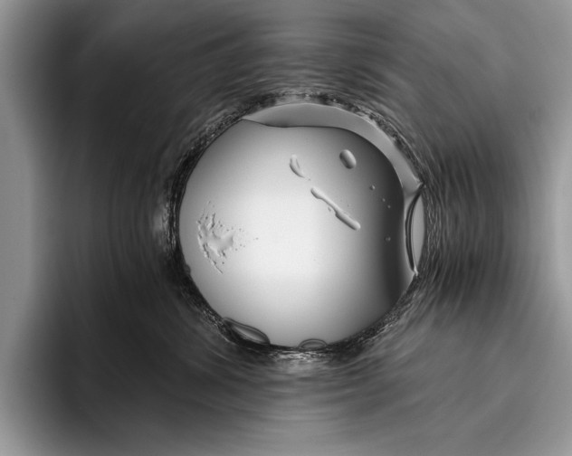 X0000096200428200802081544