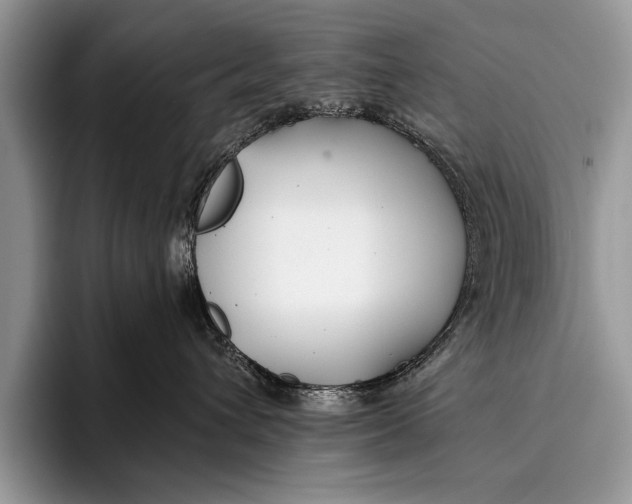 X0000096200432200802081544