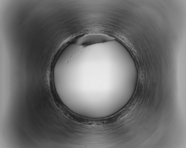 X0000096200434200802081543