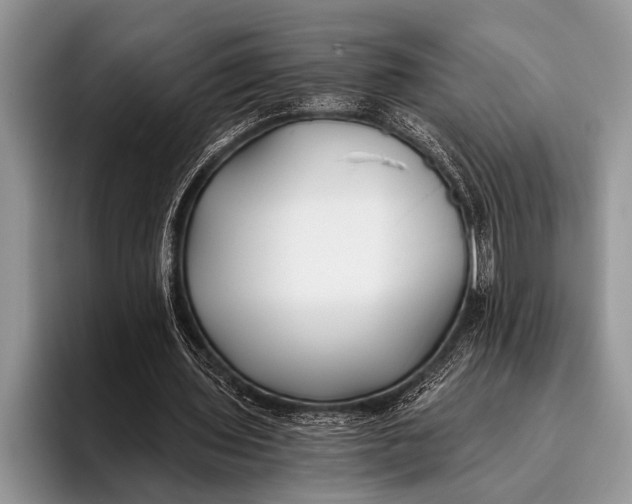 X0000096200435200802081543