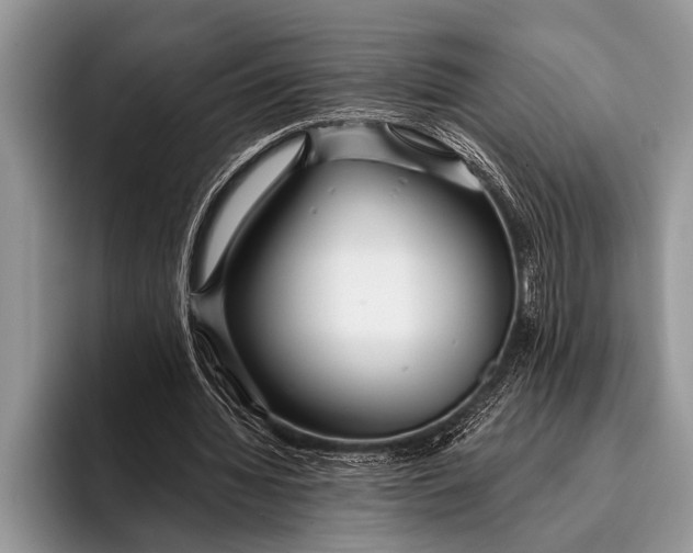 X0000096200436200802081543