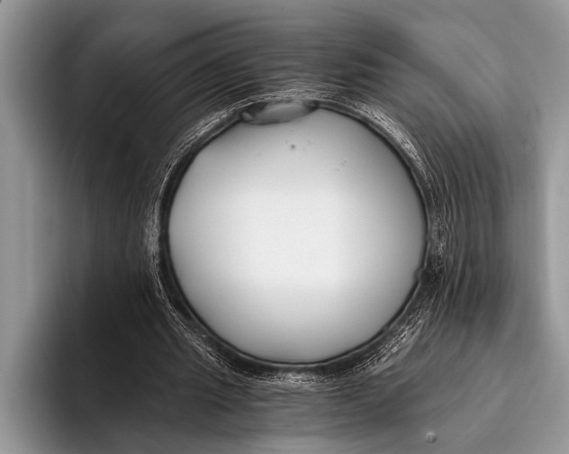 X0000096200437200802081543