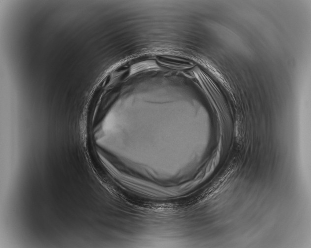 X0000096200438200802081543