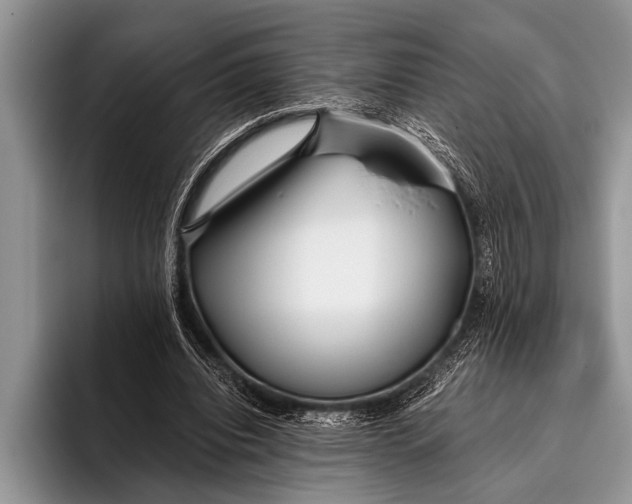 X0000096200440200802081543