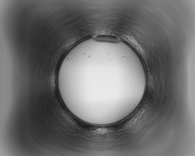 X0000096200441200802081543