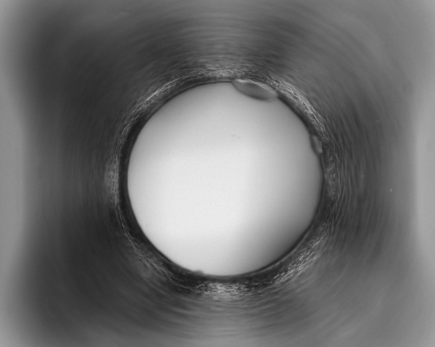 X0000096200442200802081543