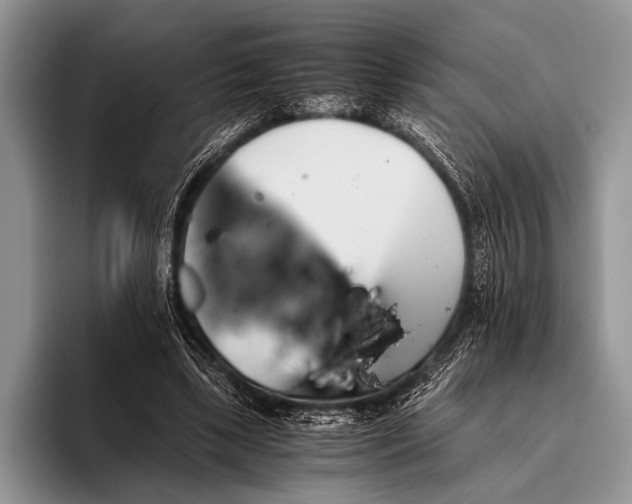 X0000096200443200802081543