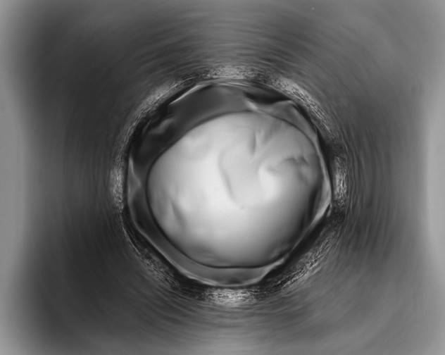 X0000096200444200802081543