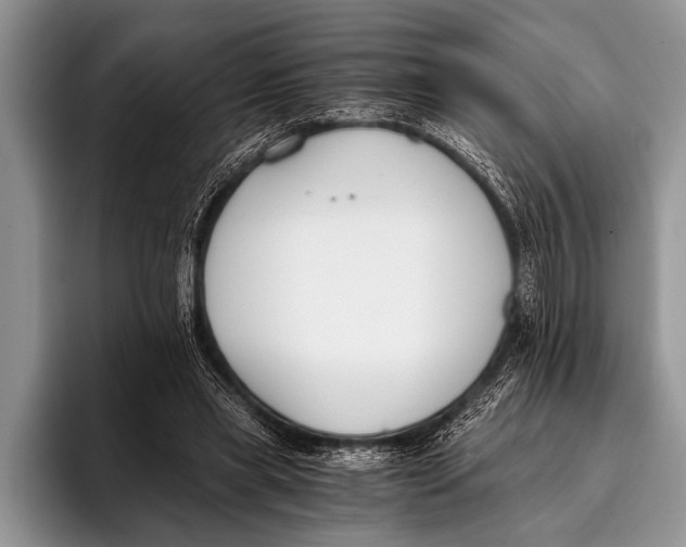 X0000096200445200802081543