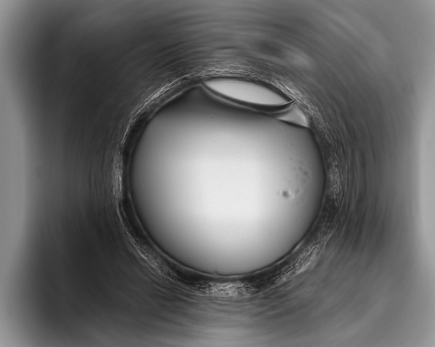 X0000096200446200802081543