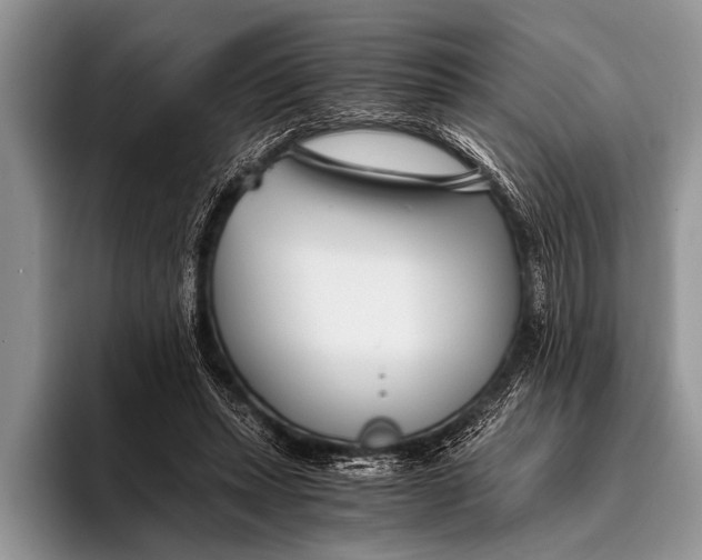 X0000096200447200802081543