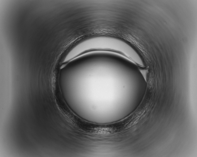 X0000096200448200802081543