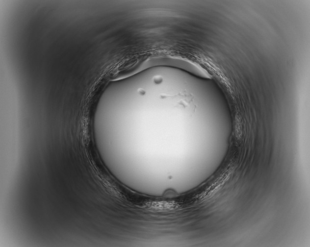 X0000096200449200802081543