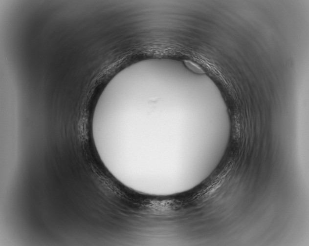 X0000096200450200802081543