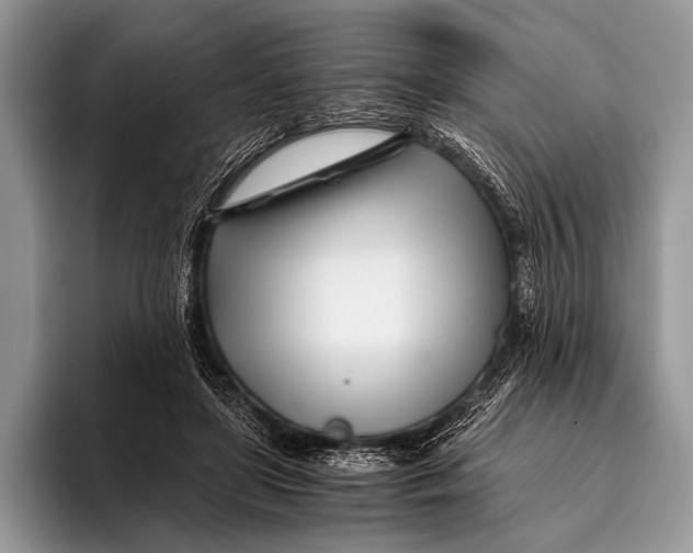 X0000096200451200802081543