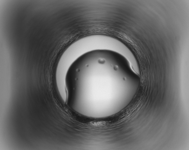 X0000096200452200802081543