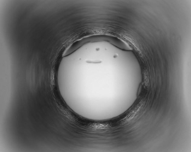 X0000096200453200802081543