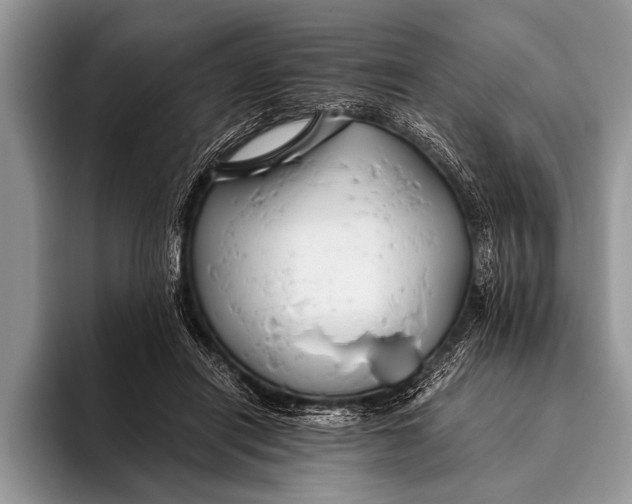 X0000096200454200802081543