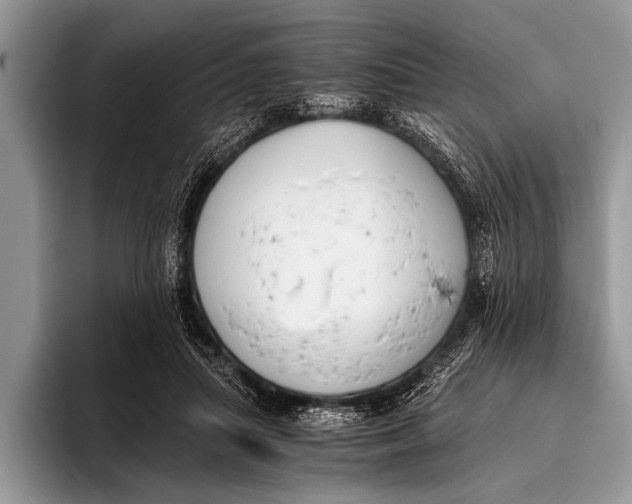 X0000096200455200802081543