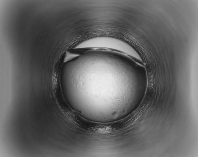 X0000096200456200802081543