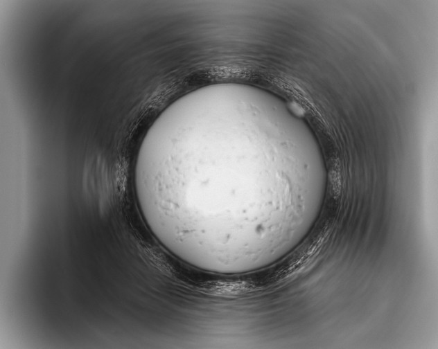 X0000096200458200802081543