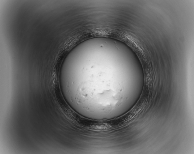 X0000096200459200802081543