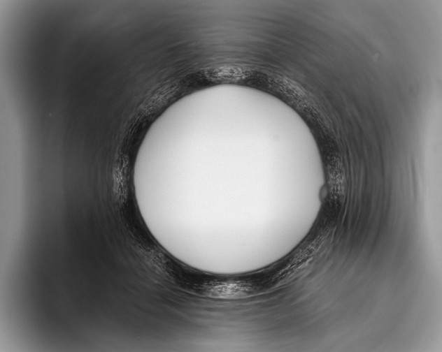 X0000096200460200802081543