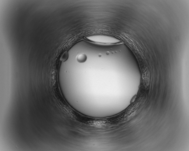 X0000096200462200802081544