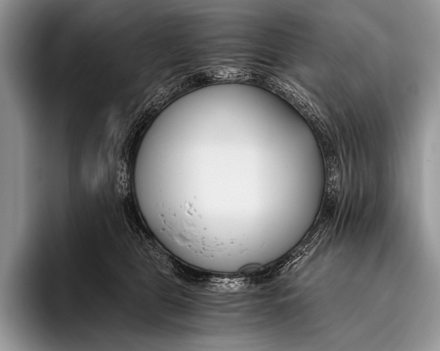 X0000096200469200802081544