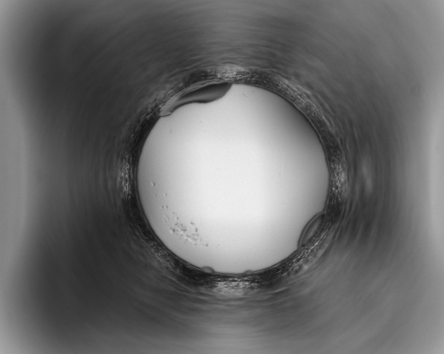 X0000096200470200802081544