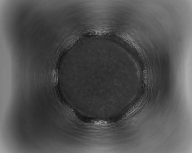 X0000096200471200802081544