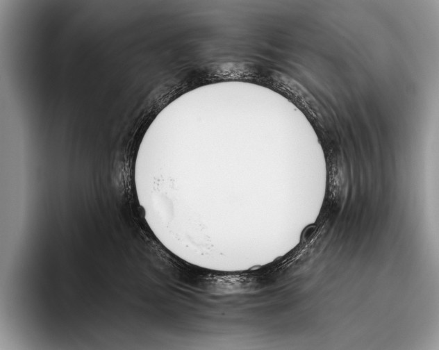 X0000096200473200802081544