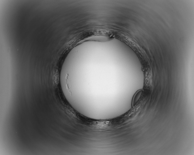 X0000096200474200802081544