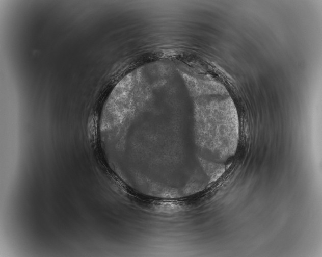 X0000096200475200802081544