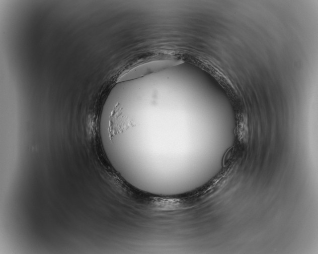 X0000096200476200802081544