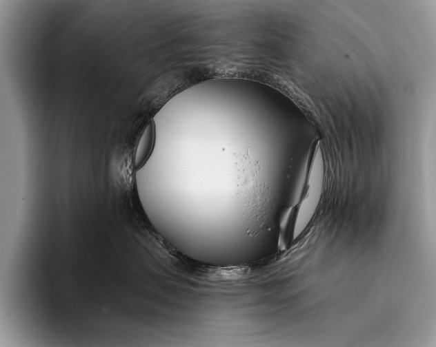 X0000096200479200802081544