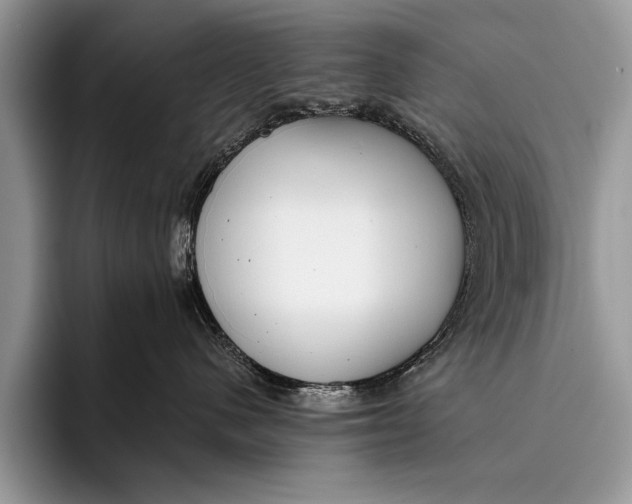 X0000096200480200802081544