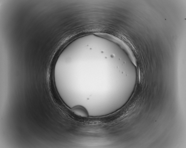 X0000096200483200802081543