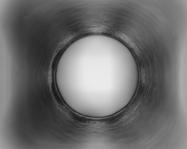 X0000096200486200802081543