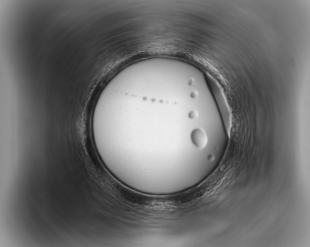 X0000096200487200802081543