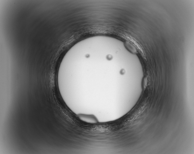 X0000096200489200802081543