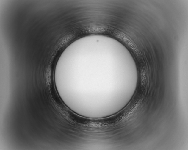 X0000096200490200802081543