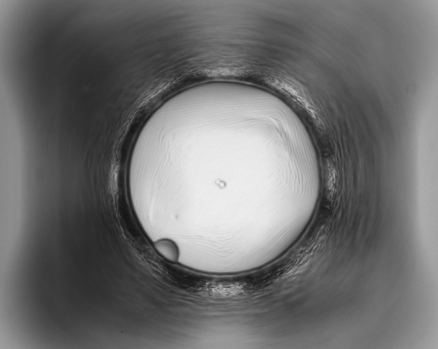 X0000096200491200802081543